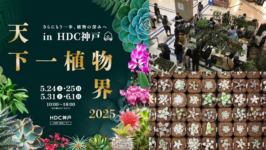 天下一植物界 in HDC神戸 植物 販売 雑貨 アクセサリー 即売会